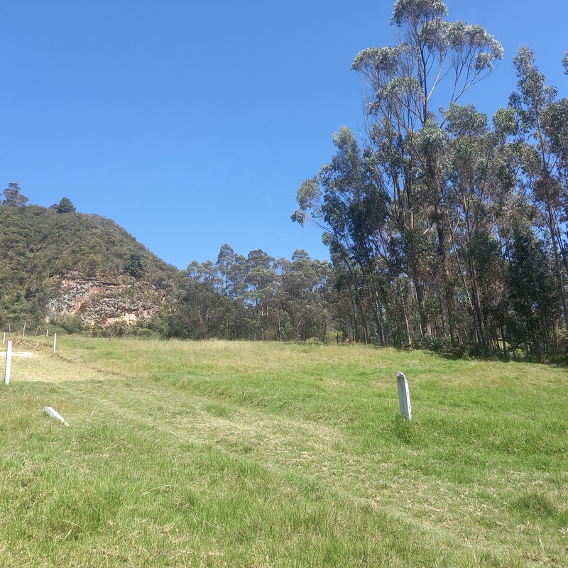 Lindos Terrenos De Venta En San Joaquín (Código 905)