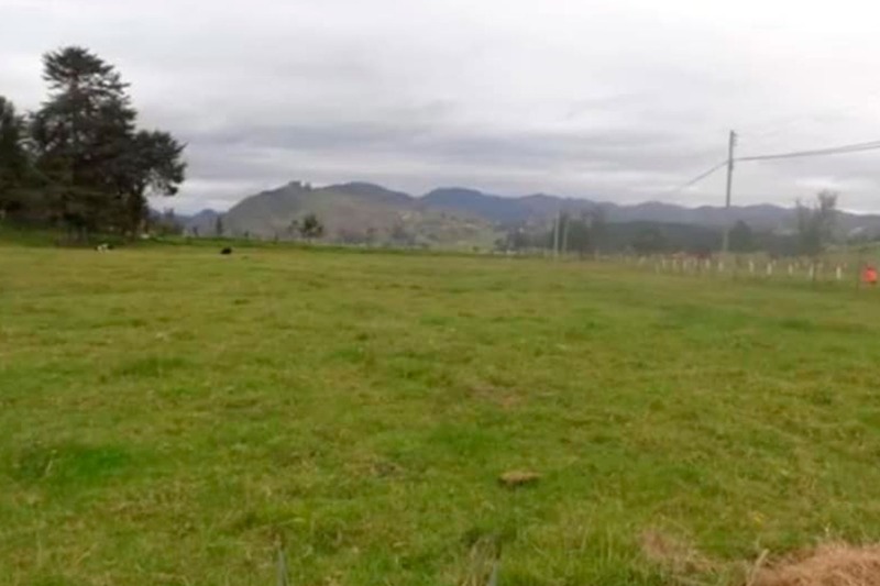 Terreno De Venta En Cumbe De 1928 Metros (Código 991)