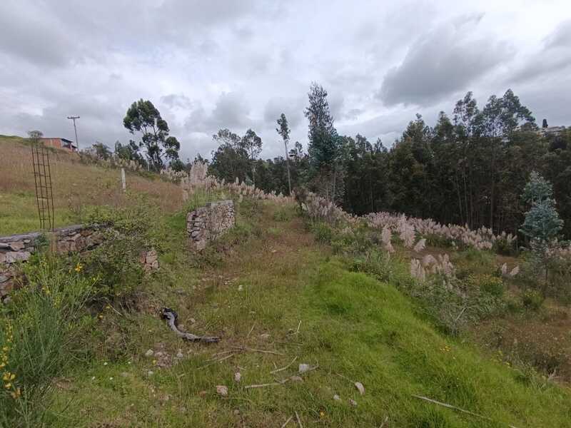 Terreno En Venta En El Tejar – Ideal Para Proyecto Residencial (Código 2088)